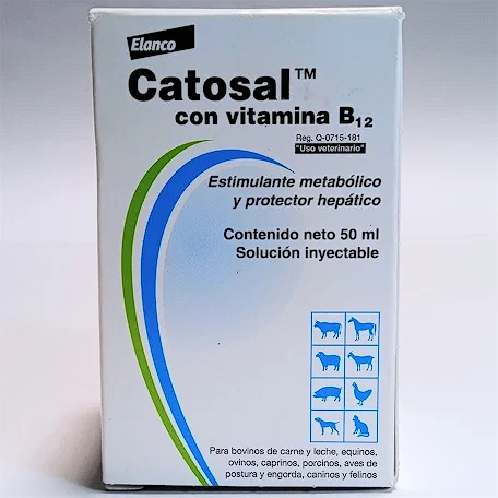 Catosal con Vitamina B12